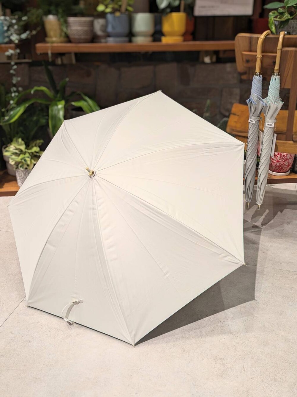 ホワイト系の長傘、グレー系の長傘を着用したレディースの夏コーディネートの1枚目の写真