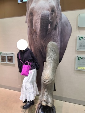 「Libra Cue（リブラ キュー）のアイテム（スカート）」を使った、あんさん（レディース・154cm）の冬コーディネート