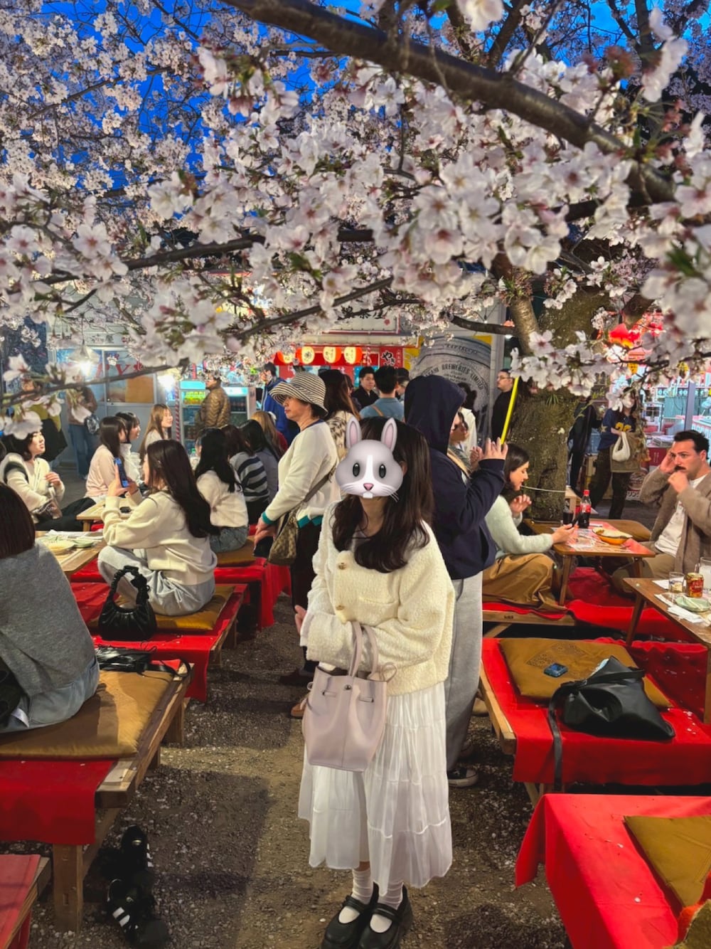「花見、花見コーデ、夜桜、夜桜コーデ」｜「ZARAのアイテム（バレエシューズ、ブラック系）」を使った、りんごさん（骨格ウェーブ・レディース・150cm）の春コーディネートの1枚目の写真
