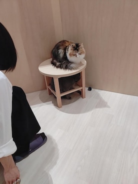 たなかさんのコーディネート