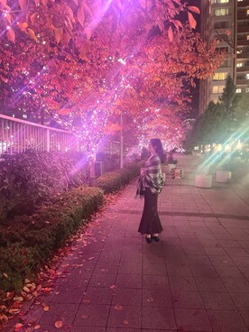 みーさんのコーディネート