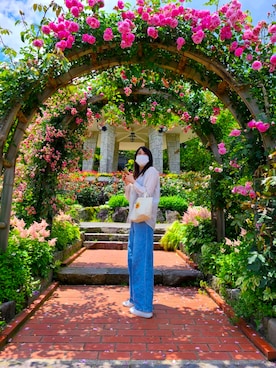 みーさんのコーディネート