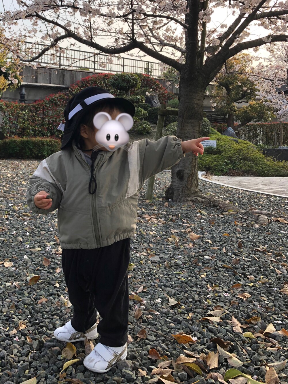 「キッズコーデ、カジュアルコーデ、おとこのこ、プチプラ、おしゃれさんと繋がりたい、スニーカーコーデ、男の子ベビー、おしゃれキッズ、ファーストシューズ、シンプルコーデ、むすこーで、過去コーデ、過去画」｜「ASICSのasics アシックス 12-135 AMULEFIRST SL アミュレファースト SL 1144A223 102 W/CGOLD（スニーカー、ホワイト系）」を使った、LEE君さん（キッズ・80cm）の秋コーディネートの1枚目の写真