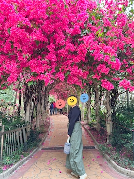 misanさんのコーディネート