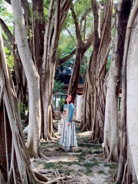 misanさんのコーディネート