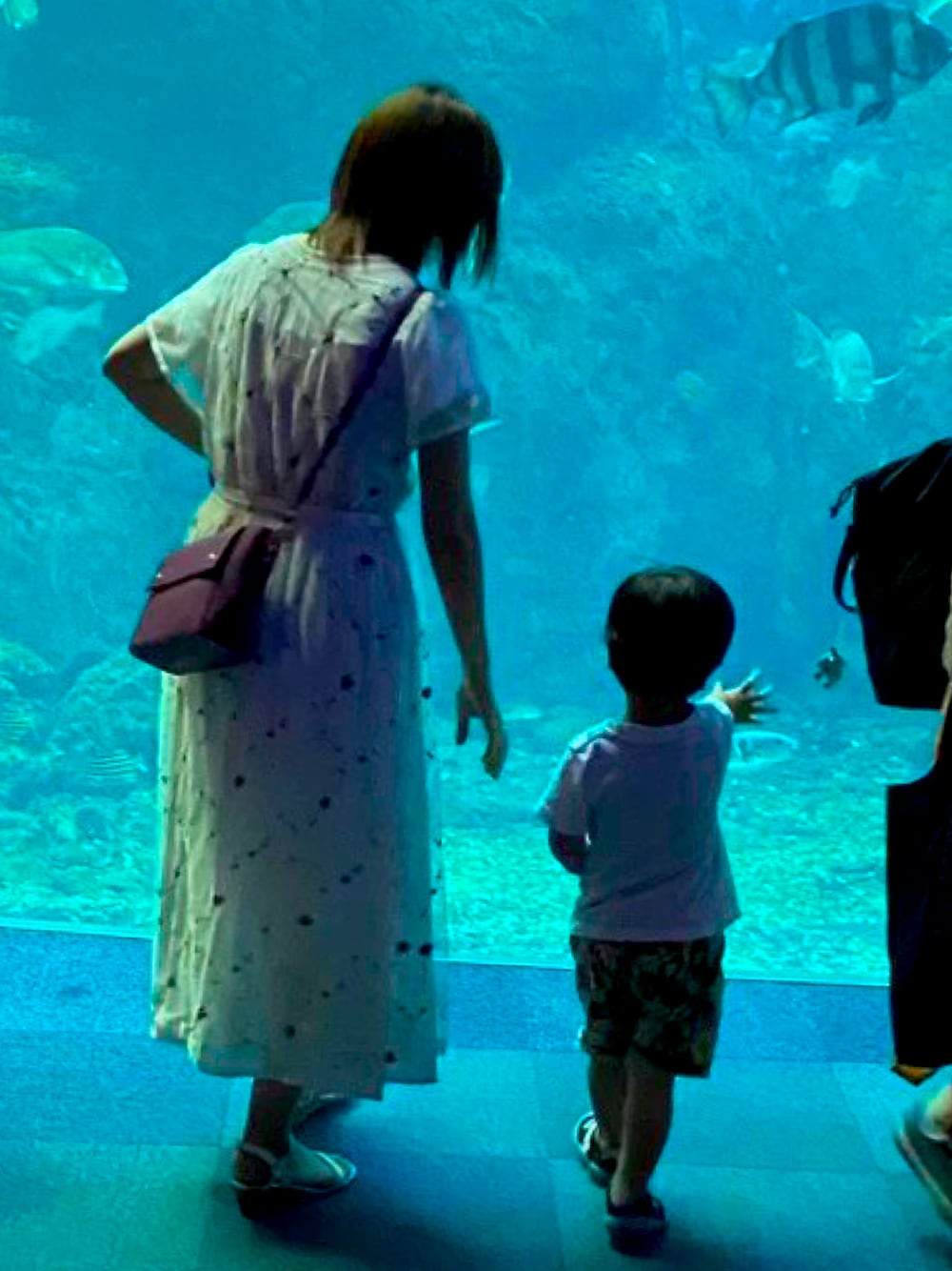 「水族館、ワンピース、白ワンピース、白×赤、楽チンコーデ、ママコーデ」｜「SMIR NASLIのレザーリベットショルダー（ショルダーバッグ、レッド系）」を使った、NaOさん（レディース・160cm）の夏コーディネートの1枚目の写真