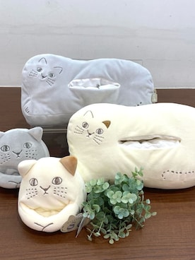 Chihaさん（レディース・150cm）の春コーディネート