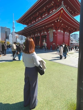 「MANEBU（マネブ）のアイテム」を使った、りなてぃーさん（レディース・153cm）の春コーディネート