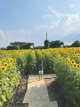「ひまわり畑」｜「アイテム（パンツ）」を使った、inmine8さん（キッズ・110cm）の夏コーディネート
