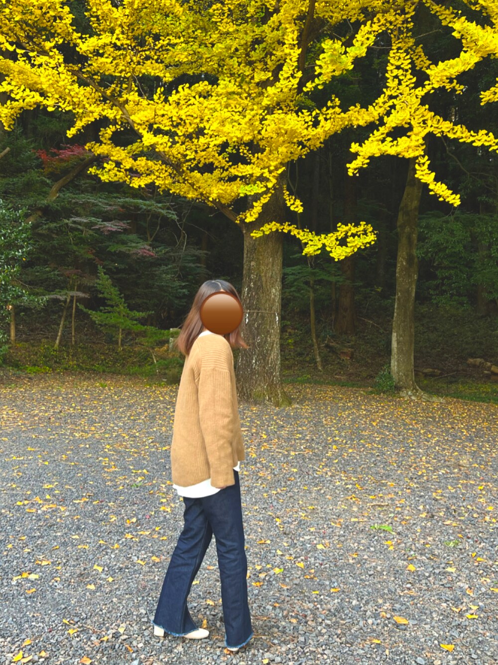 国内配送★Agnes b★ロゴ ハンドバッグ 使いやすいサイズ ◎ agnes b. 「agnes b.」 ハンドバッグ - ブラック レディース