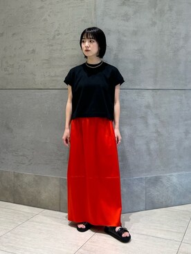 LOEFF（ロエフ）の「＜LOEFF＞バックスリット オーガンジー スカート 