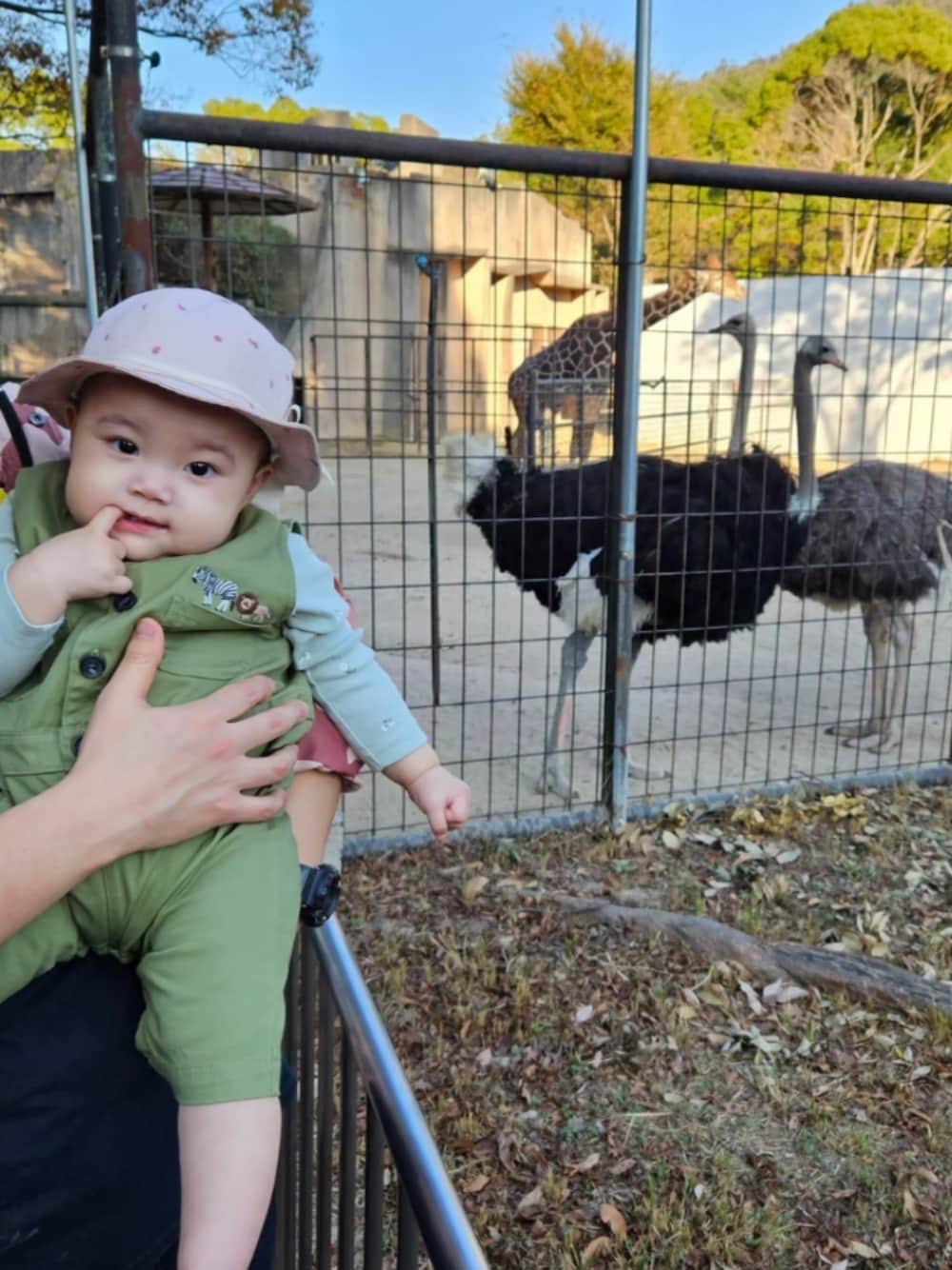 「動物園、動物園コーデ、飼育員、キッズコーデ、つなぎスタイル、バースデイ、西松屋、赤ちゃん本舗、ファッションを楽しもう」｜「Birthdayの東山動物園とのコラボ！Higashiyamazooって右胸に刺繍も入ってるよ☀️（つなぎ/オールインワン、グリーン系）」を使った、　pocoさん（キッズ・70cm）の秋コーディネートの1枚目の写真