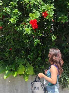 ヤドンさんのコーディネート