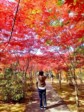 色めがねさんのコーディネート