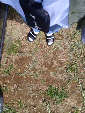 色めがねさんのコーディネート