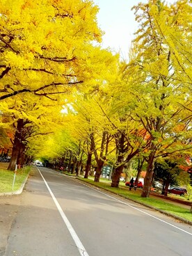 色めがねさんのコーディネート