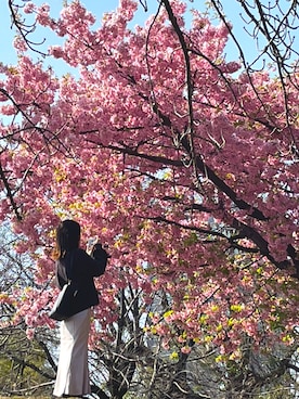 _20201025さん（レディース・154cm）の春コーディネート