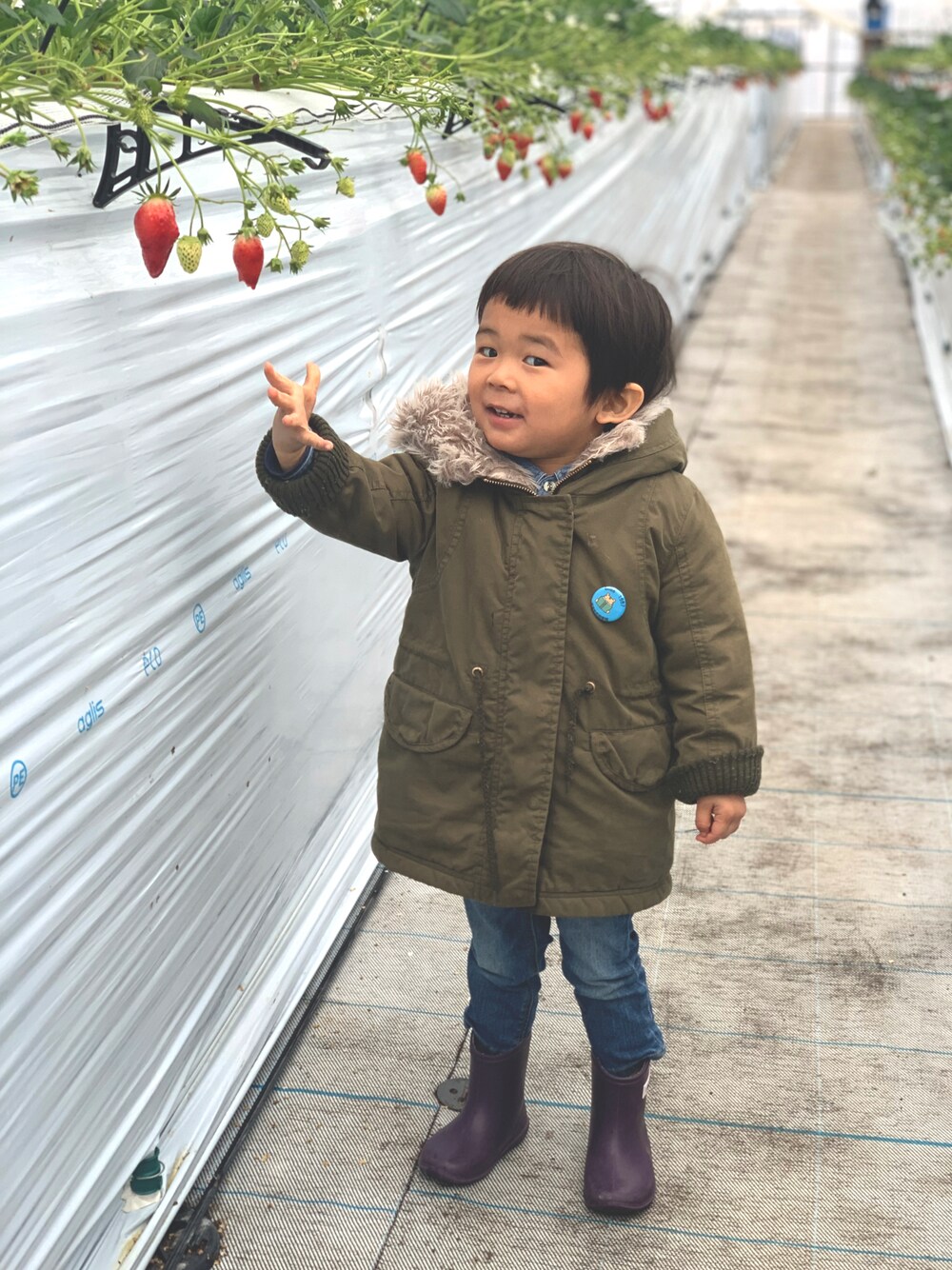 「お出かけコーデ、カジュアル、シンプルコーデ、キッズコーデ、男の子コーデ、2歳11ヶ月、キッズファッション」｜「babyGAPのアイテム（デニムパンツ、ブルー系）」を使った、tinyjohnさん（キッズ・90cm）の春コーディネートの1枚目の写真