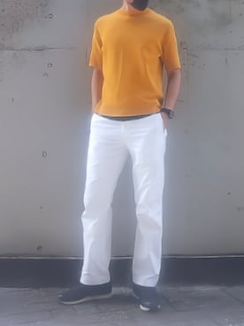 「アイテム（Tシャツ/カットソー）」を使った、tutimurajyaku1997さん（メンズ・172cm・50代）の夏コーディネート