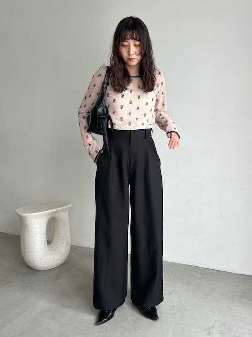 即購入OK ！カプリシュレマージュ　2WAYモノグラムシアーTシャツ 即購入OK ！カプリシュレマージュ 2WAYモノグラムシアーTシャツ