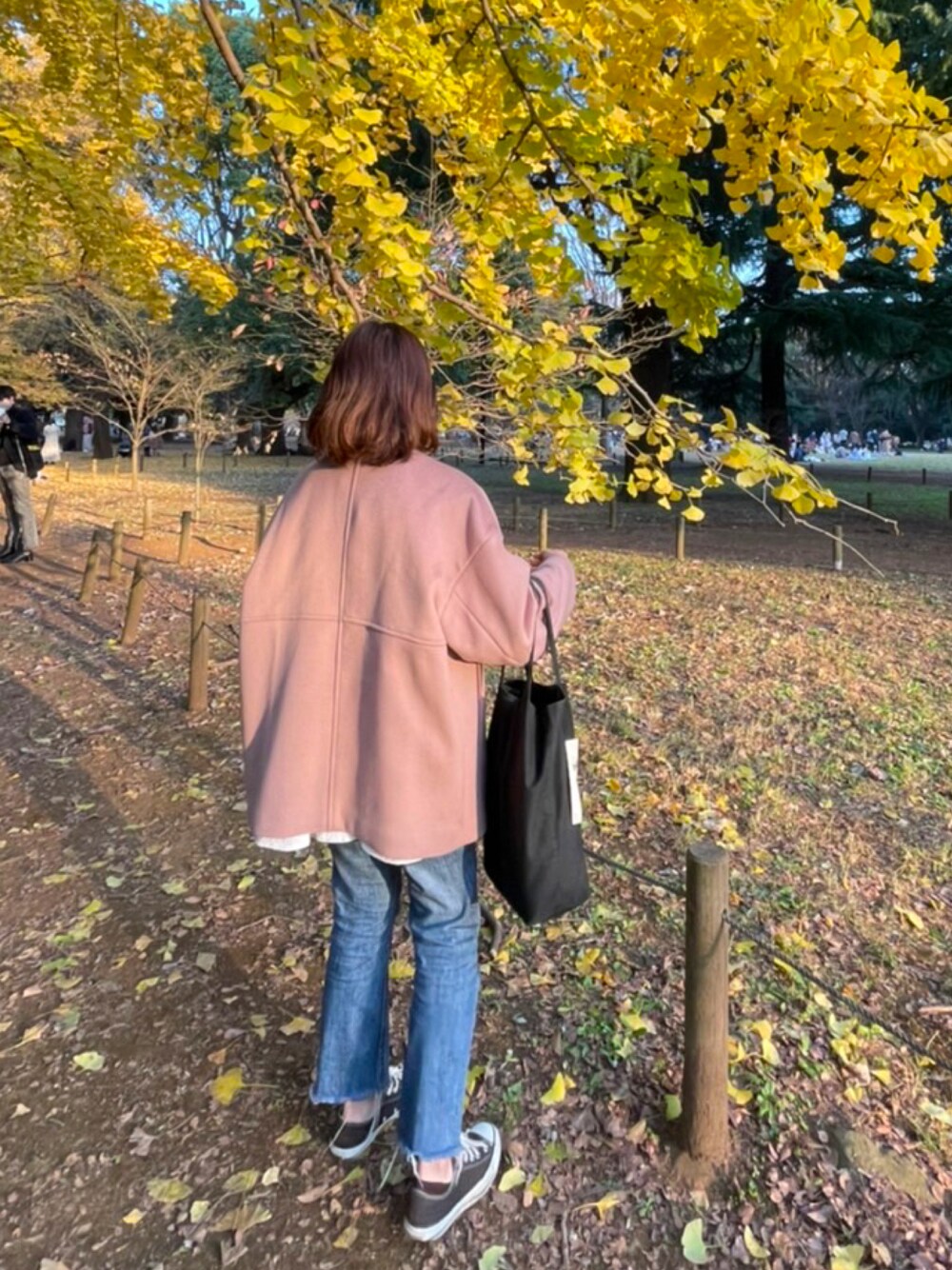 SNIDEL シアーチュニックブラウス　アイボリー SNIDEL（スナイデル）の「クレープシアーチュニック（シャツ/ブラウス