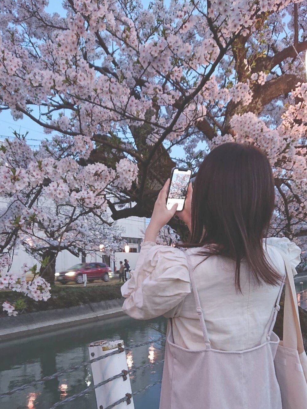「桜、GU、Recandy、キャミワンピ、パワショル」｜「GUのアイテム（ワンピース、ホワイト系）」を使った、ちゃ。さん（レディース・162cm）の春コーディネートの1枚目の写真
