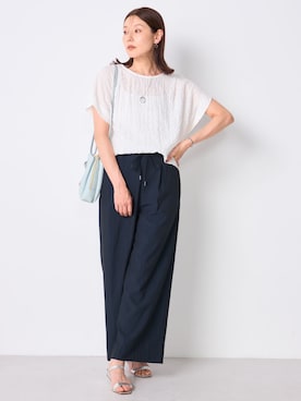 「GALLORIA（ギャローリア）のシアーチェックTブラウス（シャツ/ブラウス、ホワイト系）」を使った、GALLORIAさん（レディース・165cm）の夏コーディネート
