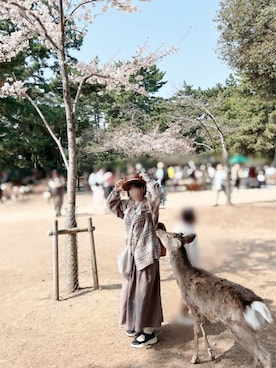 𝚝𝚎𝚝𝚘さん(レディース・156cm)の春コーディネート