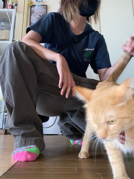 べーさんのコーディネート