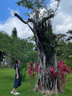 yuuuui.tさんのコーディネート