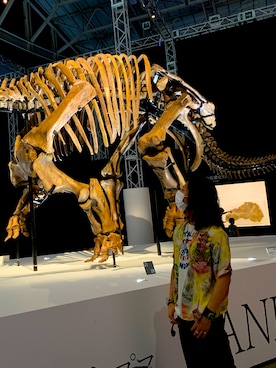 Willさんのコーディネート