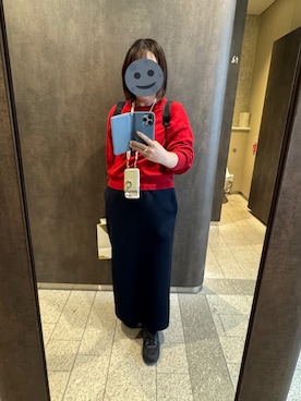 「UNIQLO（ユニクロ）のアイテム（スカート、ブルー系）」を使った、gonge_of_krgmさん（レディース・153cm）の春コーディネート