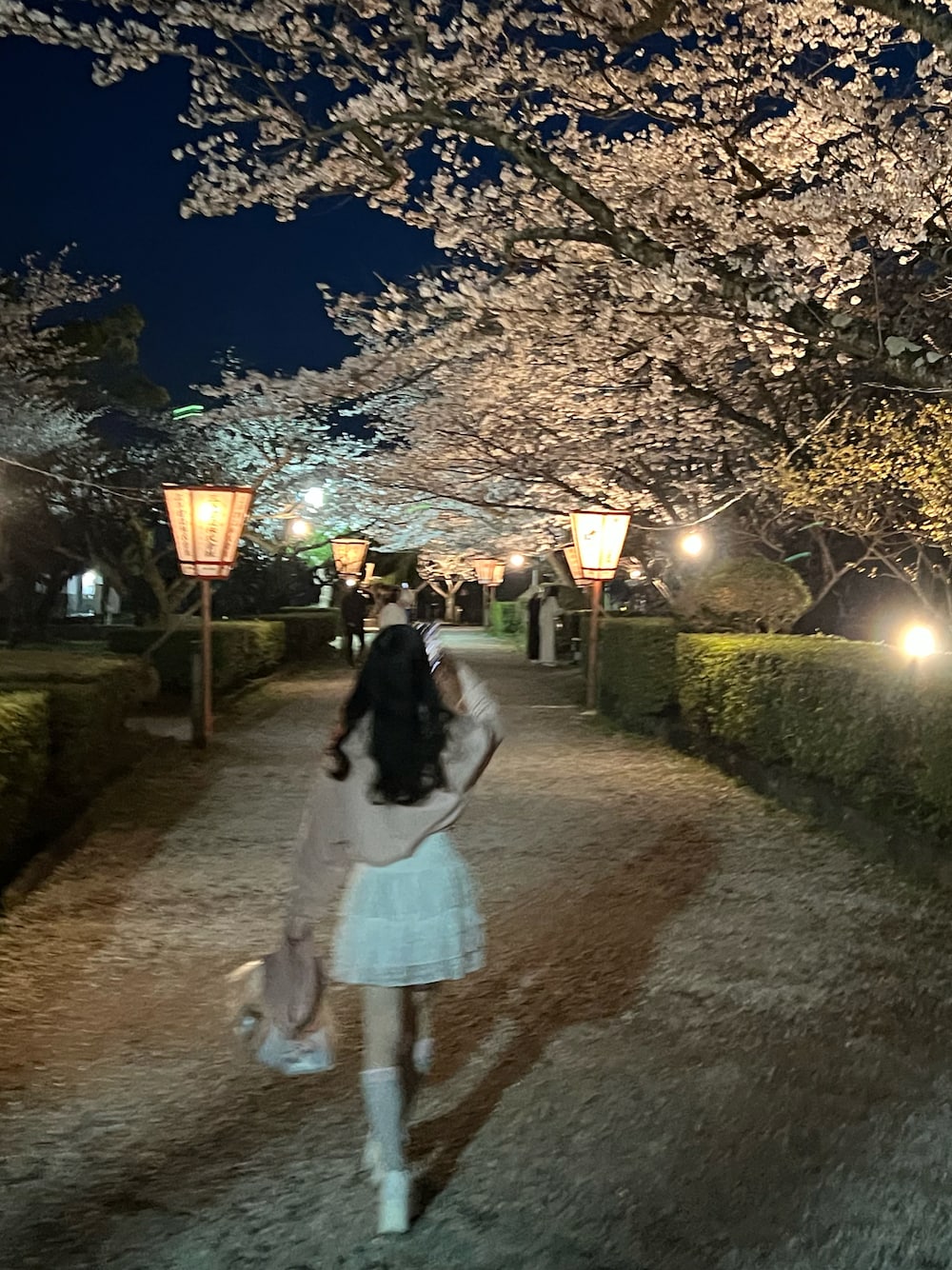 「低身長、低身長コーデ、低身長女子、ピンク、pink、春、桜、お花見コーデ、レース、LAKOLE、ローリーズファーム(LOWRYS FARM)、INGNI、キティちゃん」｜「INGNIのレースフリルミニスカパン／Ａ（スカート、ホワイト系）」を使った、モエさん（レディース・148cm）の春コーディネートの1枚目の写真
