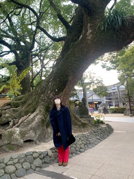 や の ま。さんのコーディネート