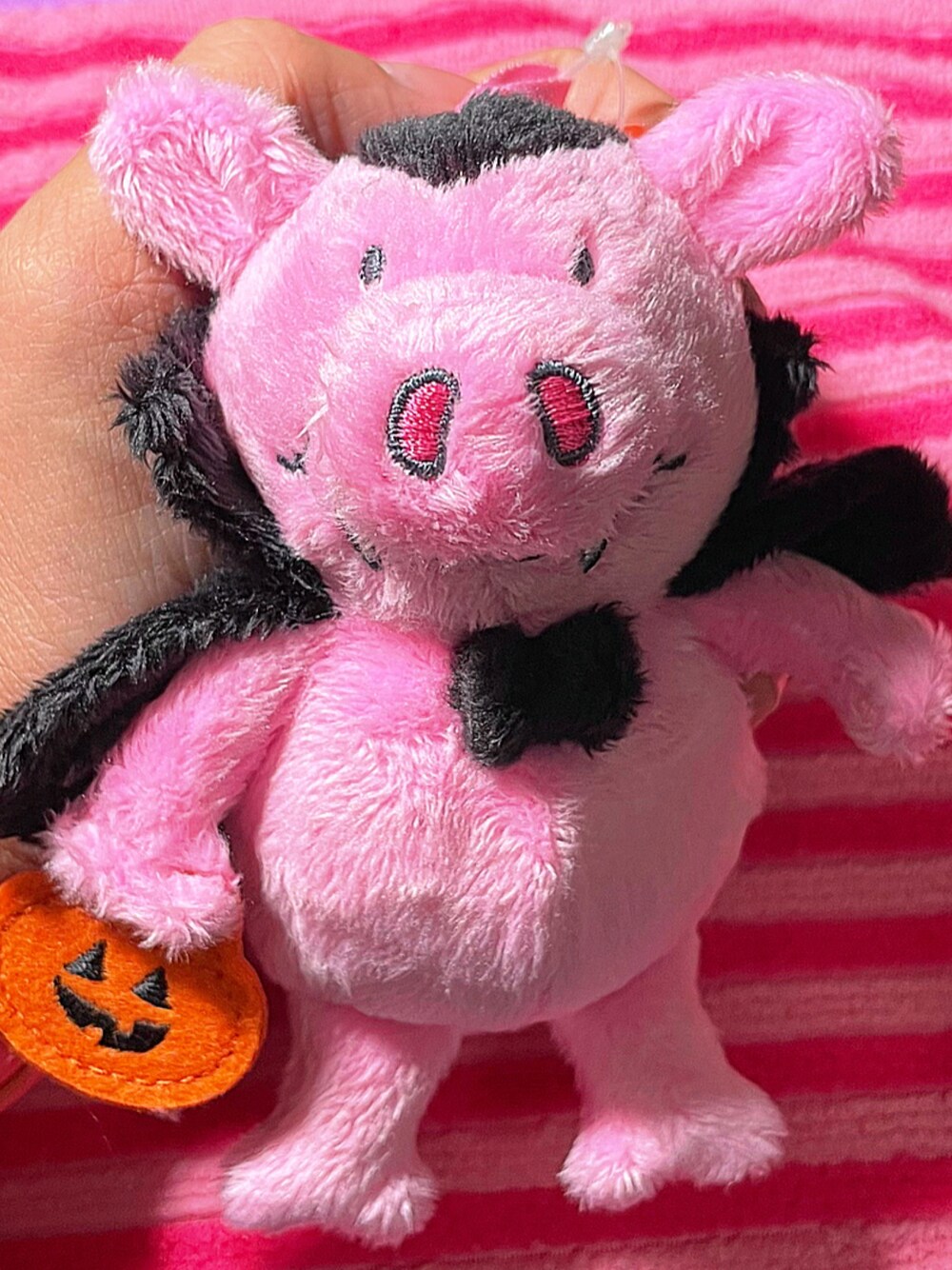 「percypig、halloween2022」｜「M＆Sのアイテム（おもちゃ、ピンク系）」を使った、🇯🇵 瑛士 🇸🇬さん（メンズ・170cm）の秋コーディネートの1枚目の写真