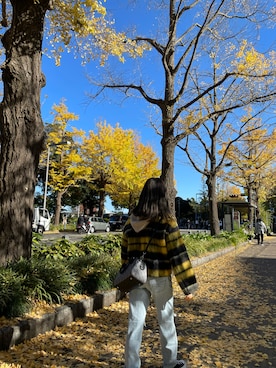 「LILY BROWN（リリーブラウン）のアイテム（その他アウター）」を使った、村瀬紗英さん（レディース・159cm）の春コーディネート