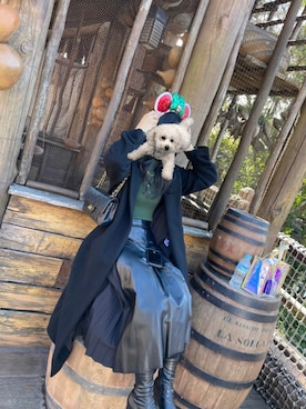 「vin(ヴィン)のアイテム」を使った、犬さん(レディース・158cm)の冬コーディネート