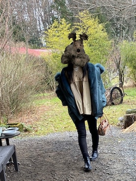 「UNIQLO（ユニクロ）のWOMEN ウルトラストレッチジーンズ（デニムパンツ）」を使った、犬さん（レディース・158cm）の冬コーディネート