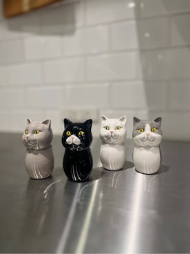 「212 KITCHEN STORE（トゥワントゥキッチンストア）のキャットセラミック SPセット シロ&ハチワレ（キッチンツール、その他）」を使った、えびちゃんさん（レディース）の冬コーディネート