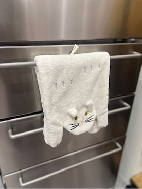 「212 KITCHEN STORE（トゥワントゥキッチンストア）のSopii クイックドライタオル GY（タオル、その他）」を使った、えびちゃんさん（レディース）の秋コーディネート