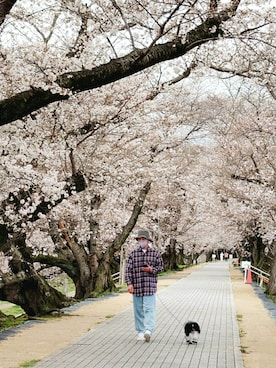 ヨッシーさん（メンズ・168cm）の春コーディネート