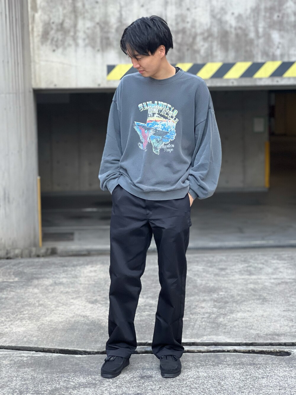 ディッキーズ Tシャツ デニム カーゴ ストリートコーデ c-boy style Dickies ディッキーズ デニムカーゴ D-2905 SS〜6L アメイジング