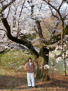 「SUGAR BISKET（シュガービスケット）のアイテム」を使った、takkeさん（メンズ・154cm）の春コーディネート