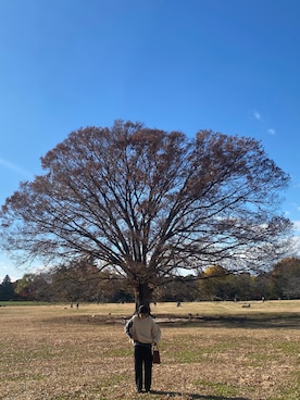 ヒさん（レディース・158cm）の冬コーディネート