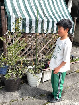 sachitsukasaさんのコーディネート