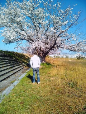 halyanさんのコーディネート