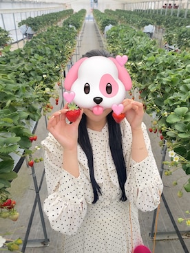 「tocco closet（トッコ　クローゼット）のアイテム（ワンピース/ドレス）」を使った、(՞_  ̫ _՞)さん（レディース・162cm）の春コーディネート