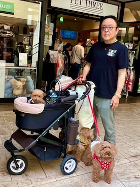「niko and...（ニコアンド）の[NUMERALS]SLIM SLACKS（スラックス、グリーン系）」を使った、かつさん（メンズ・174cm）の夏コーディネート