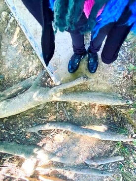 momoerumoさんのコーディネート