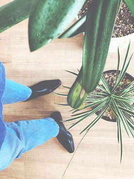 湖の都の晴れる道さんのコーディネート